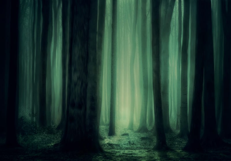 Mystical Forest